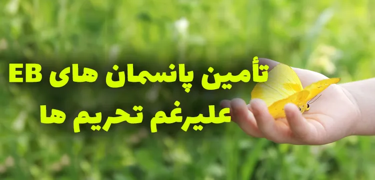 تأمین پانسمان های EB