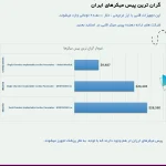 گران ترین پیس میکرهای ایران